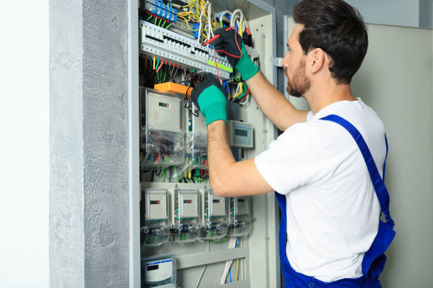 Best Electrical System Inspection  in Meridian, TX